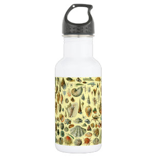 Vintage-Meeresmuschel-Druck Adolphe Millot Küste Edelstahlflasche