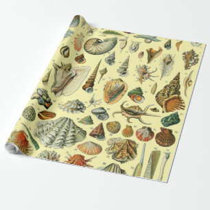 Vintage-Meeresmuschel-Druck Adolphe Millot Küste Geschenkpapier