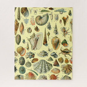 Vintage-Meeresmuschel-Druck Adolphe Millot Küste Puzzle