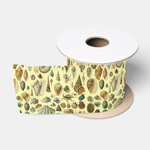 Vintage-Meeresmuschel-Druck Adolphe Millot Küste Satinband
