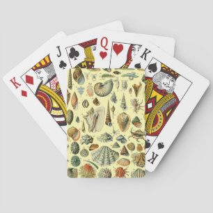 Vintage-Meeresmuschel-Druck Adolphe Millot Küste Spielkarten