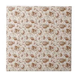 Vintage-Meeresmuschel-Toile-Küstenmuster (2) Fliese