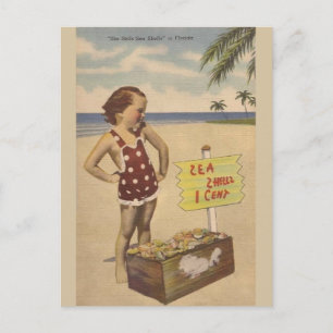 Vintage Meeresmuscheln Florida Postkarte