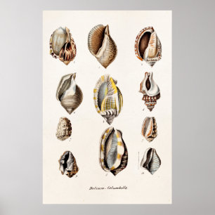 Vintage Meeresmuscheln Personalisierte Retro Berge Poster