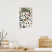 Vintage Meeresmuscheln Poster (Küche)