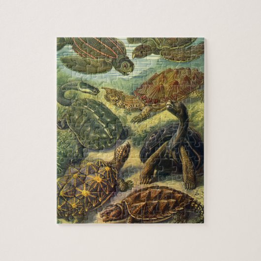 Vintage Meeresschildkröten und Tortoises von Ernst Puzzle (Vertikal)