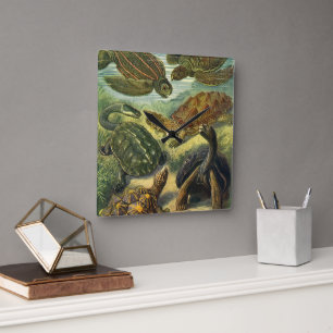 Vintage Meeresschildkröten und Tortoises von Ernst Quadratische Wanduhr