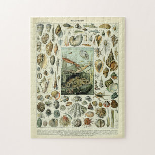 Vintage Meeresschnecken von Adolphe Millot Puzzle