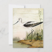 Vintage Meerestiere, Vögel, (Vorderseite)