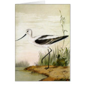 Vintage Meerestiere, Vögel, (Vorne)