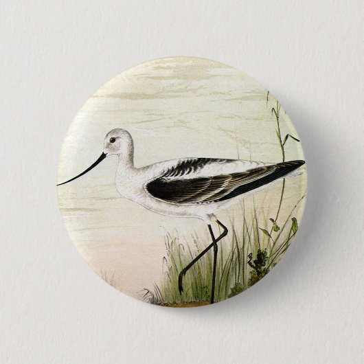 Vintage Meerestiere, Vögel, Button (Vorderseite)