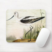 Vintage Meerestiere, Vögel, Mousepad (Mit Mouse)