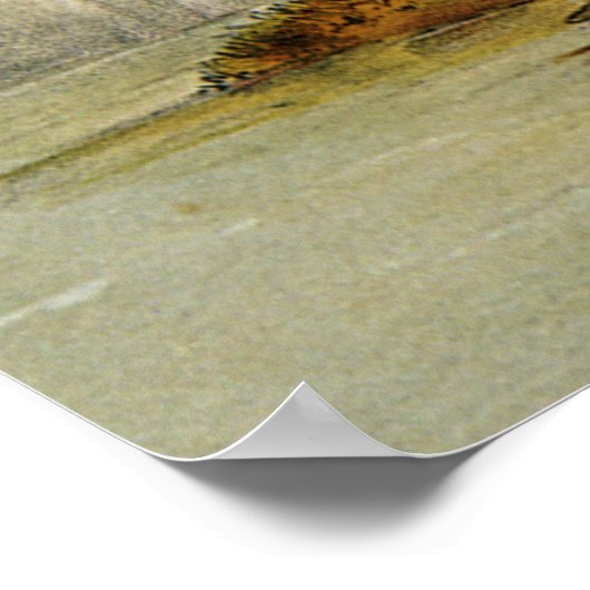 Vintage Meerestiere, Vögel, Poster (Ecke)