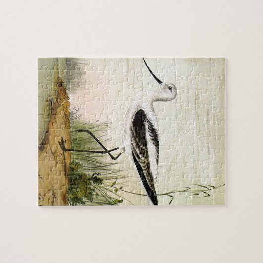 Vintage Meerestiere, Vögel, Puzzle (Horizontal)