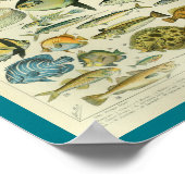 Vintage Meereswelt Fisch drucken Poster (Ecke)