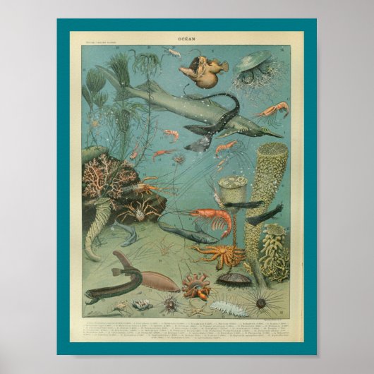 Vintage Meereswelt Seascape Print Poster (Vorne)