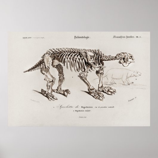 Vintage Megatherium-Illustration Poster (Vorne)