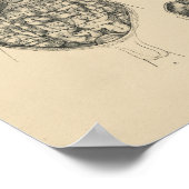 Vintage menschliche Anatomie 1880 Print Poster (Ecke)