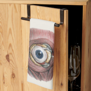 Vintage-Menschliche Anatomie, Augapfel Auge mit Mu Geschirrtuch