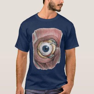 Vintage-Menschliche Anatomie, Augapfel Auge mit Mu T-Shirt