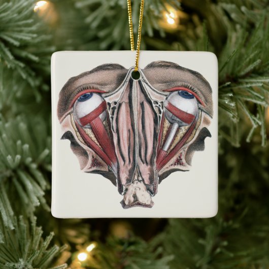 Vintage menschliche Anatomie, Augen Keramikornament (Baum)