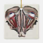 Vintage menschliche Anatomie, Augen Keramikornament (Rückseite)