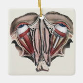 Vintage menschliche Anatomie, Augen Keramikornament (Vorderseite)