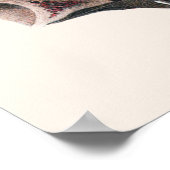 Vintage menschliche Anatomie, Augen Poster (Ecke)