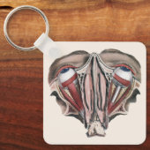Vintage menschliche Anatomie, Augen Schlüsselanhänger (Vorderseite)