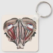 Vintage menschliche Anatomie, Augen Schlüsselanhänger (Rückseite)