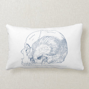 Vintage menschliche Anatomie, die zeitliches Lendenkissen