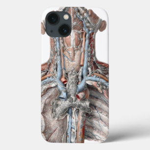 Vintage menschliche Anatomie Kehle, Hals, Brust, R Case-Mate iPhone Hülle