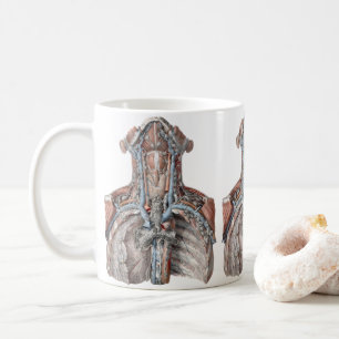 Vintage menschliche Anatomie Kehle, Hals, Brust, R Kaffeetasse