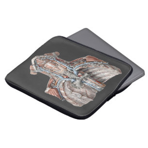 Vintage menschliche Anatomie Kehle, Hals, Brust, R Laptopschutzhülle