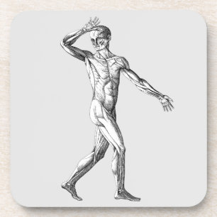 Vintage-Menschliche Anatomie, männliche Körpermusk Getränkeuntersetzer