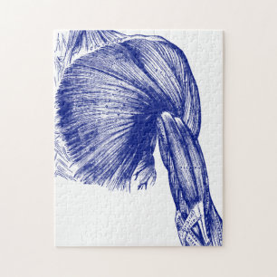 Vintage menschliche Anatomie-Muskeln des Kastens Puzzle