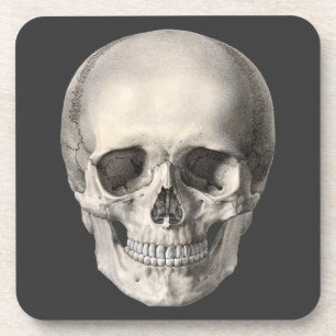 Vintage Menschliche Anatomie Schädel, Halloween-Sk Getränkeuntersetzer