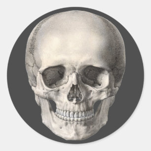 Vintage Menschliche Anatomie Schädel, Halloween Sk Runder Aufkleber