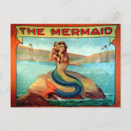 Vintage Mermaid Circus Banner Postcard anzeigen Postkarte