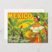 Vintage Mexico Tropical Travel Postkarte (Vorne/Hinten)
