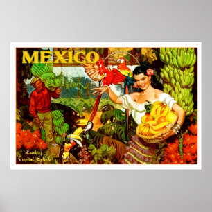 Vintage Mexiko Land der tropischen Pracht Reise Poster
