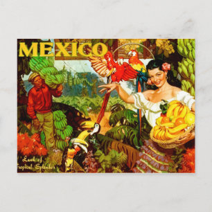 Vintage Mexiko Land der tropischen Pracht Reise Postkarte