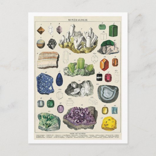 Vintage Mineralogische Übersicht Postkarte (Vorderseite)