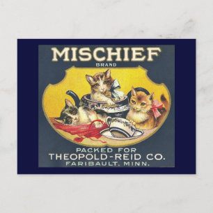 Vintage Mischief Brand Label Kittens Cats Postkarte
