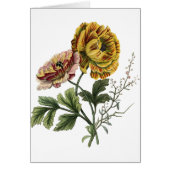 Vintage Mohnblumen-Blume (Vorne)
