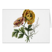 Vintage Mohnblumen-Blume (Vorderseite (Horizontal))