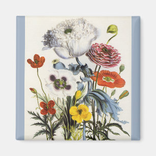 Vintage Mohnblumen im Garten, viktorianische Blume Magnet