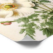 Vintage Mohnblumen Poster (Ecke)