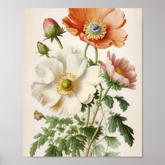Vintage Mohnblumen Poster (Vorne)