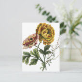 Vintage Mohnblumen Postkarte (Stehend Vorderseite)